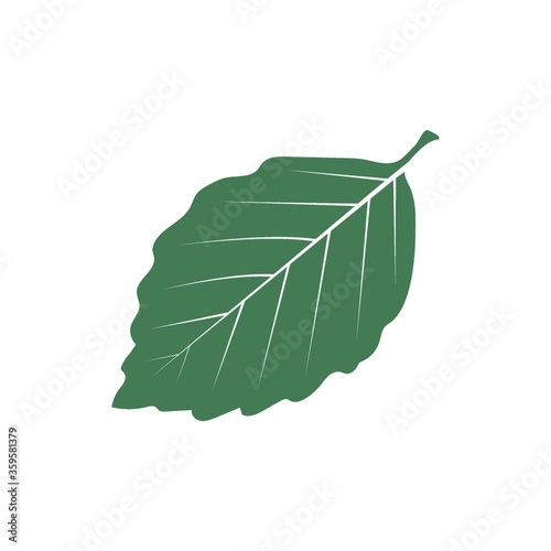 A leaf illustration.