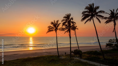 Ocean sunrise with palm tree s by the beach  Main beach Gold Coast.