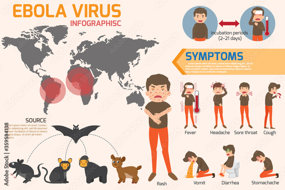 Design of details ebola virus sign symptoms and prevention infographics vector concept. health and medical vector illustration. EBOLA Virus Disease 2020.