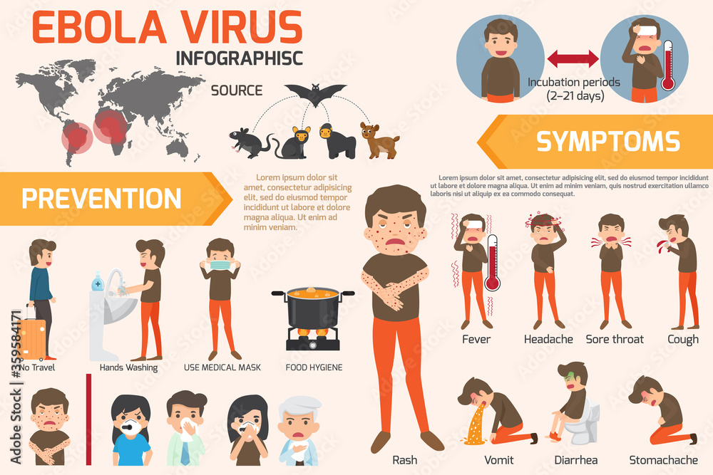 Design of details ebola virus sign symptoms and prevention infographics vector concept. health and medical vector illustration. EBOLA Virus Disease 2020.