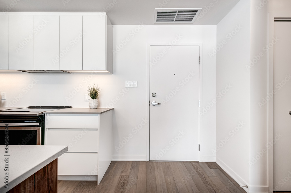 Fototapeta premium Brand new luxury Canadian style furnished and staged apartment in condominium with lobby, hall, reception room and gym, Beautiful Modern Staged Apartment North American Style, Open Concept