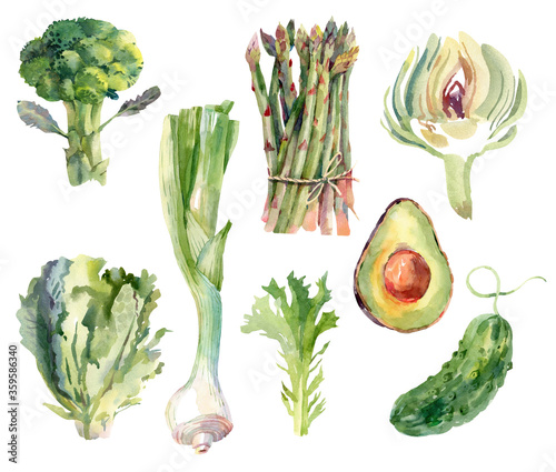 Set of hand drawn watercolor green vegetables. Avocado, broccoli, artichoke, cucumber, asparagus, lettuse, salad photo