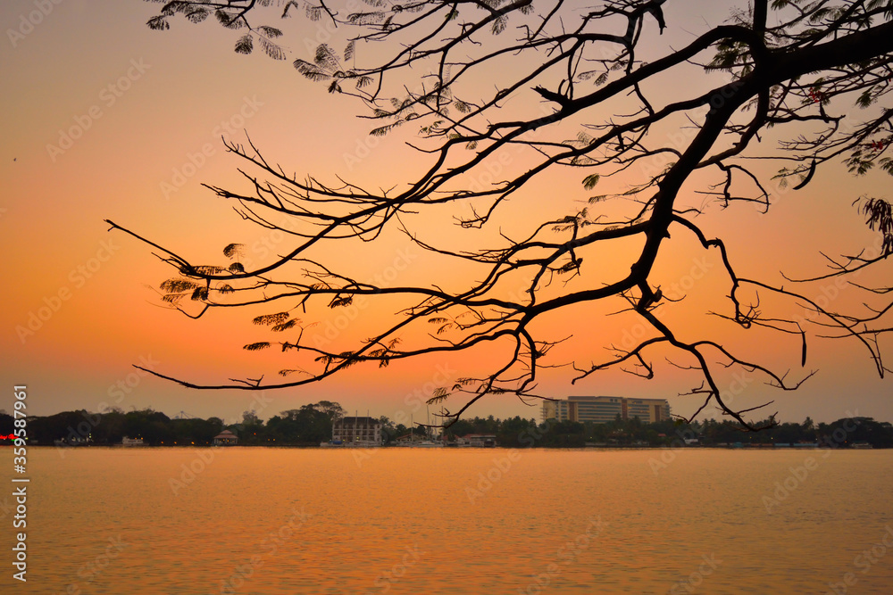 Silhouette of tree branches over lake Vembanad in Marine Drive, Kochi during sunset. Silhouette of tree branches over lake Vembanad in Marine Drive, Kochi during sunset.