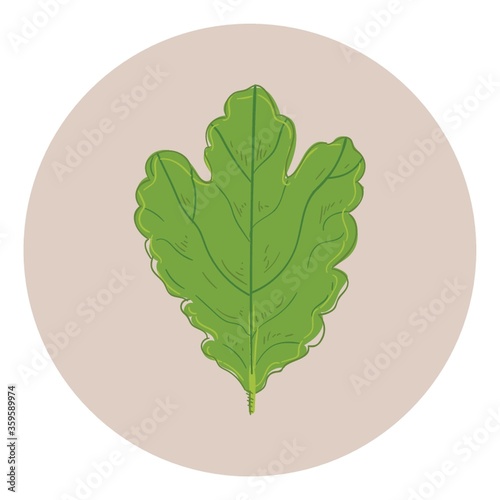 Leaf