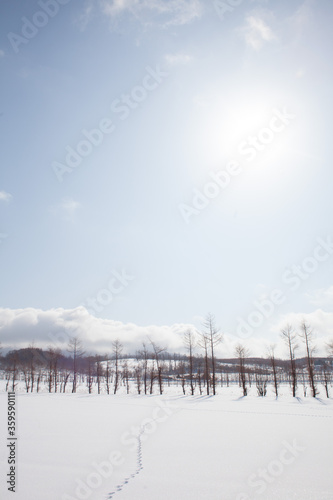 雪景色 © Fumi 