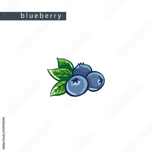sketch_blueberry_three_berries_and_leaves