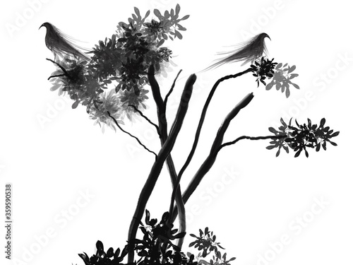 Fototapeta Naklejka Na Ścianę i Meble -  silhouette bird on branch tree isolated on white background illustration