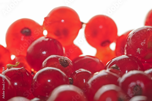 Bild auf Leinwand Red currant in the backlight, Rote Johannisbeere im Gegenlicht