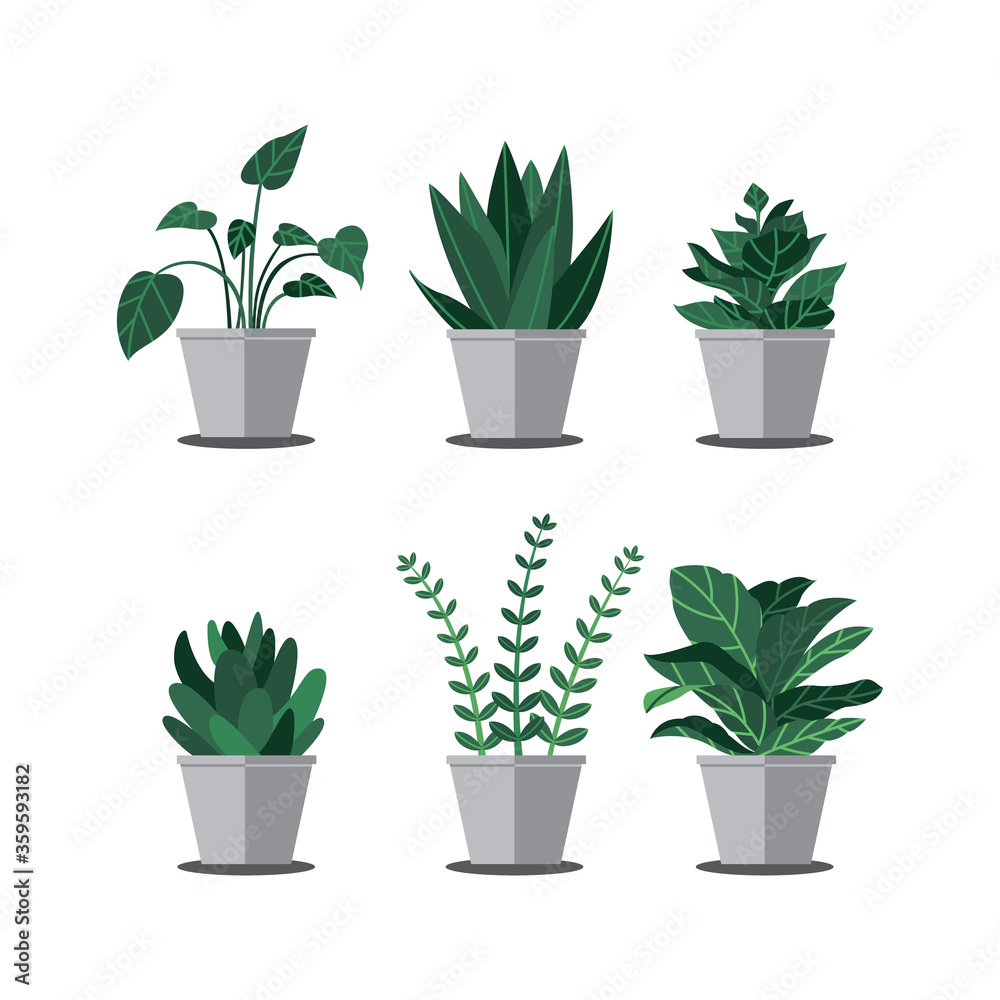 Illustration of interior plants vector The Concept of Isolated Technology. Flat Cartoon Style Suitable for Landing Web Pages, Banners, Flyers, Stickers, Cards