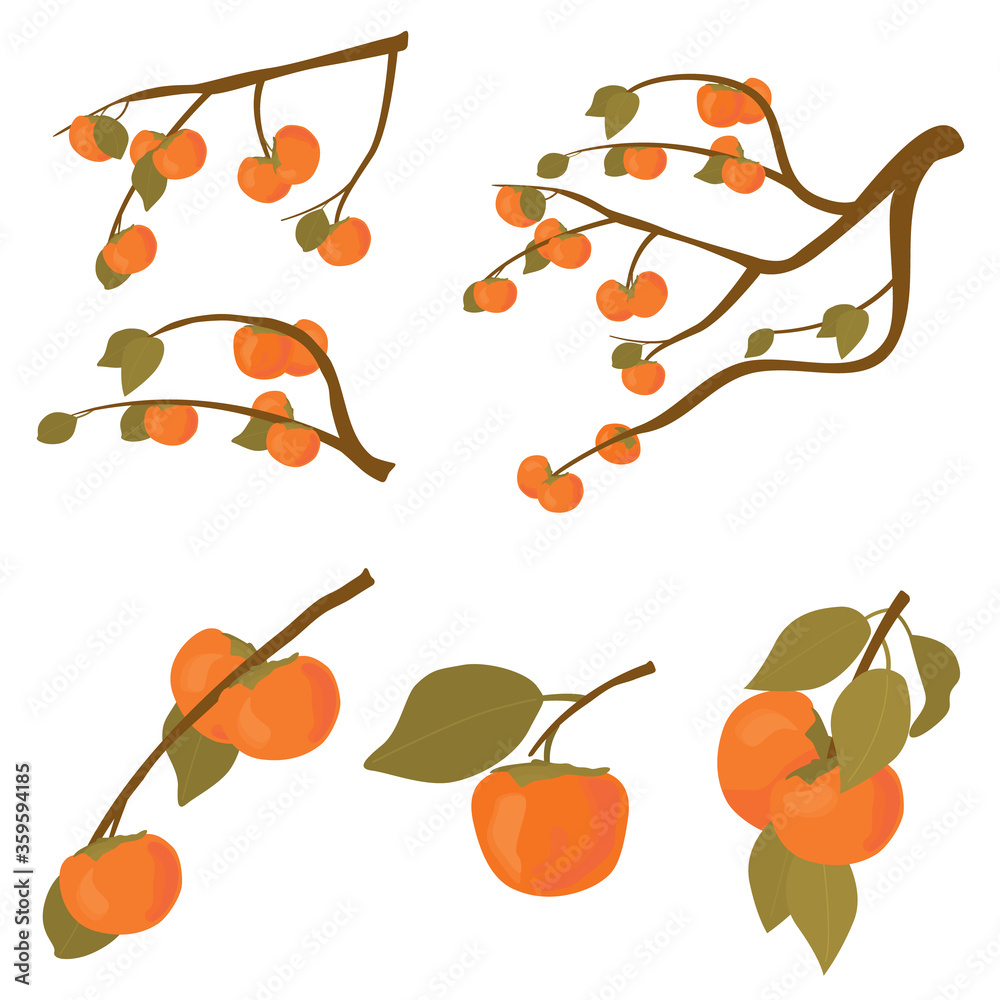Εκτύπωση καμβά Set of persimmon fruit tree