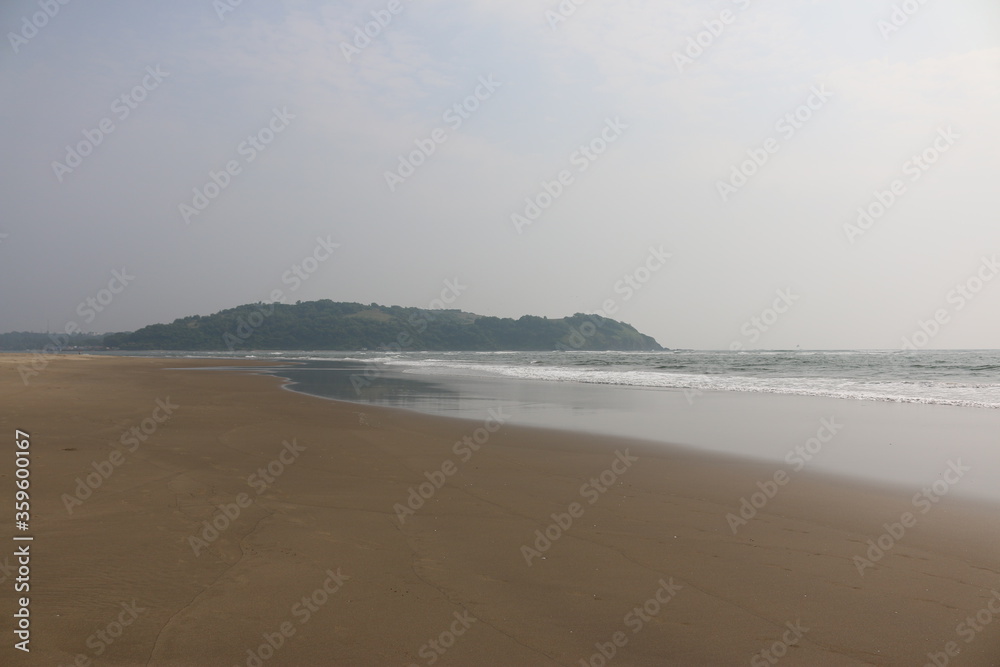 birds on the beach, the tide of Goa