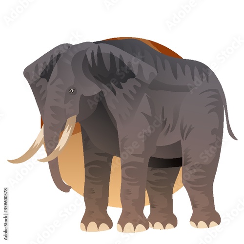 elephant