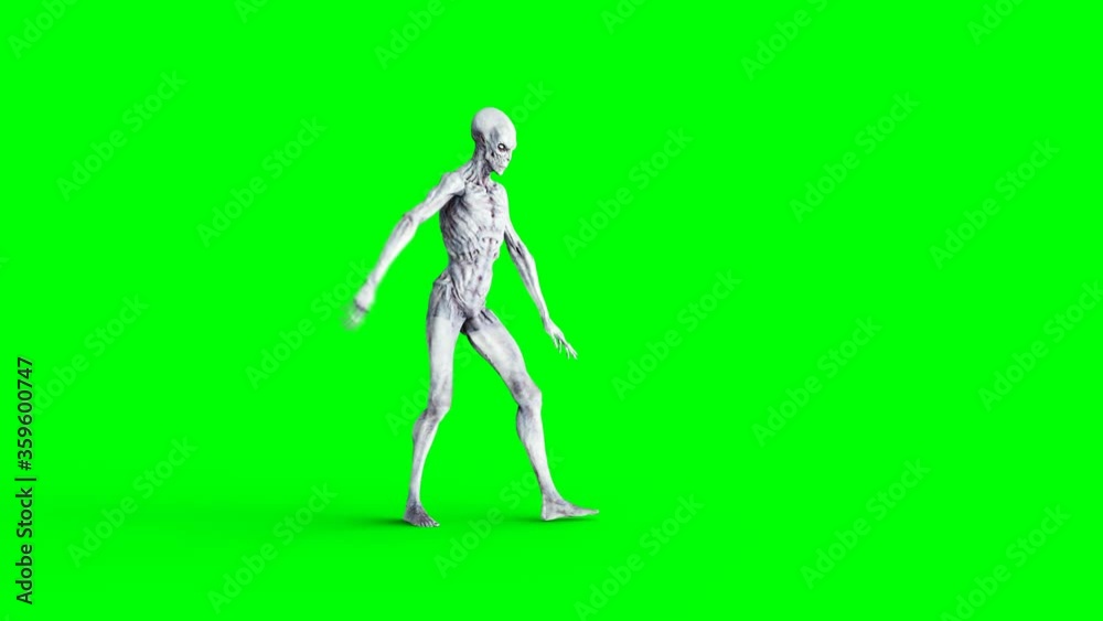 Funny alien dancing hip hop. Realistic motion and skin shaders. 4K green screen footage. Funny alien dancing hip hop. Realistic motion and skin shaders. 4K green screen footage.