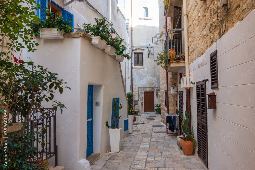 Fototapeta premium Aleja Polignano. Apulia. Włochy.