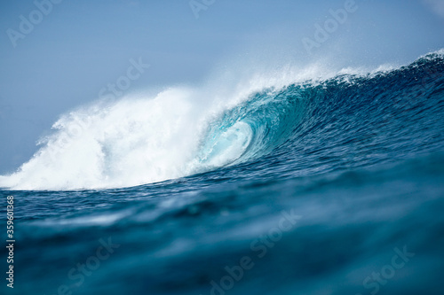 Perfect blue aquamarine wave, empty line up, perfect for surfing, clean water, Indian Ocean close to Maldivian island Thulusdhoo