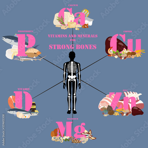 Vitamins and minerals for strong bones vector illustration