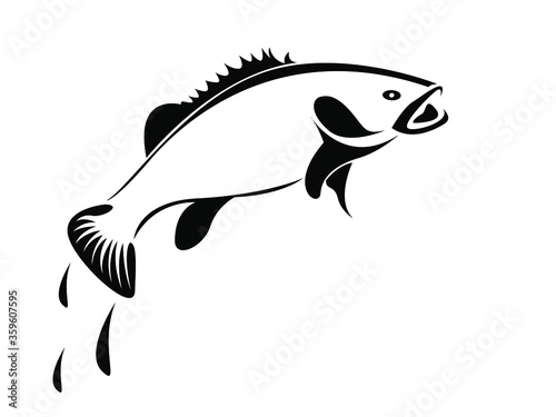 Digital art of Murray Cod fish jumping over - isolated on white background
