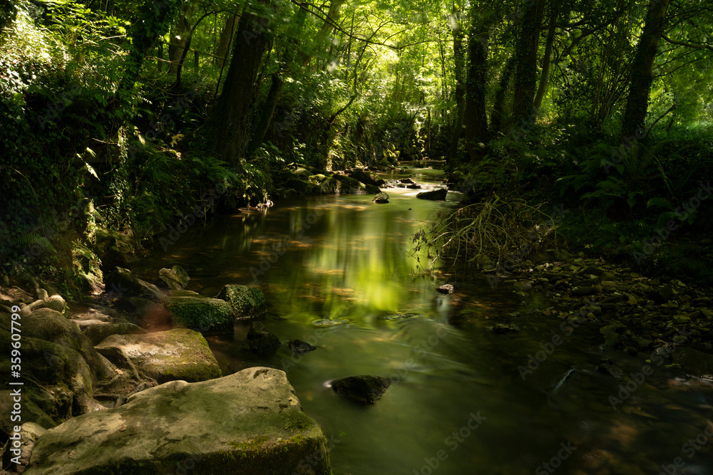 arrazola river in summer arrazola river in summer