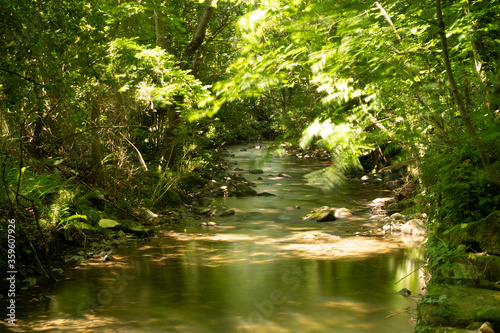 arrazola river in summer