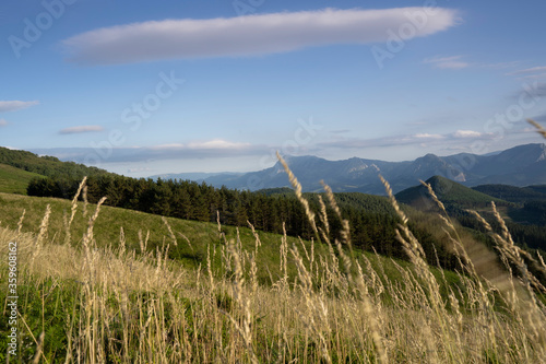 landscape in basque mountains