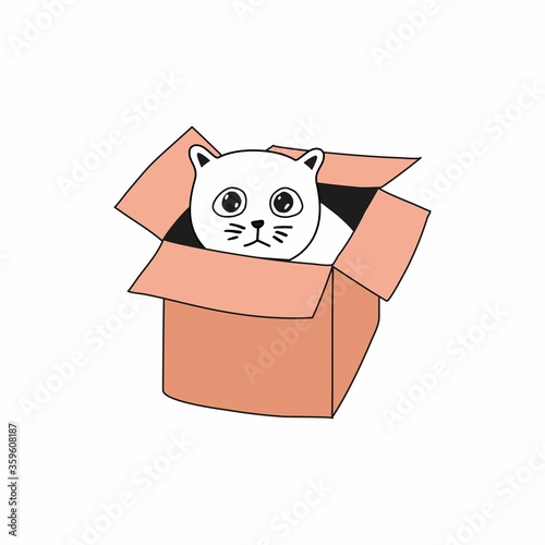 A sad white cat is sitting in a cardboard box.