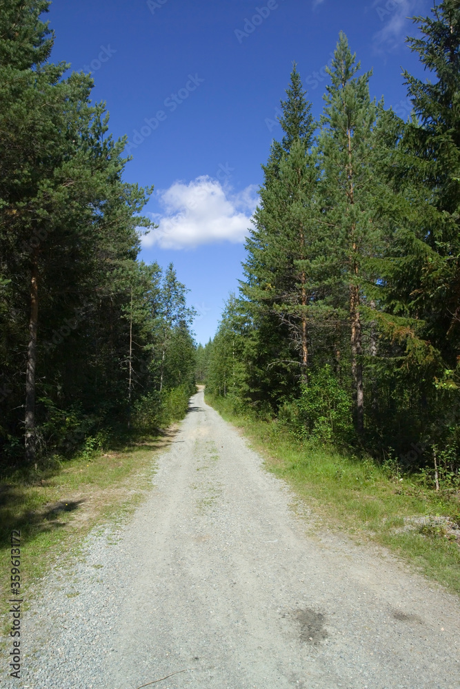 Road scene, Finland Road scene, Finland