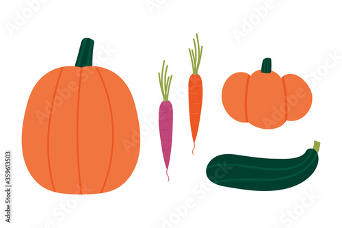 Seasonal autumn vegetables set, collection. Pumpkin, carrots, zucchini vector cartoon style icons.
