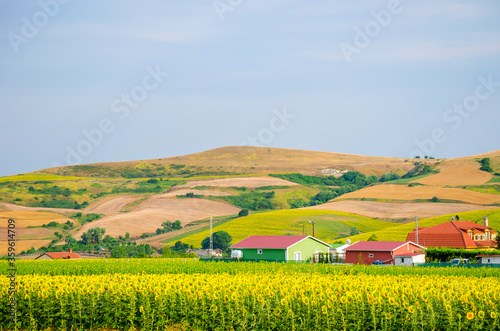 Sunflower field against background of multi-colored farm fields with colorful agricultural crops.  Farming in Turkey. Agricultural field in the suburbs of Istanbul, Silivri. Selective focus image.