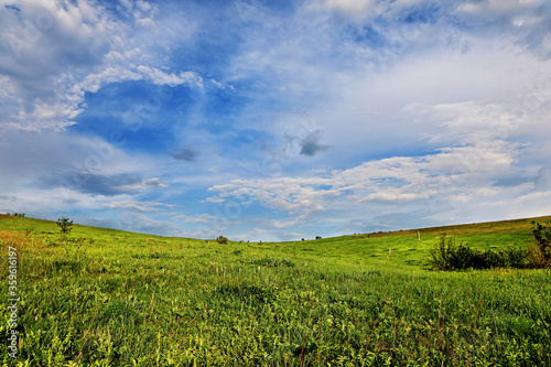 beautiful spring landscape with field