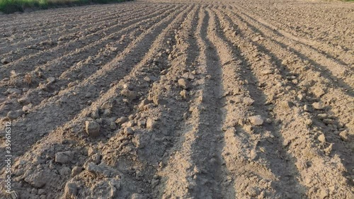Dry Plowed Field after harvest