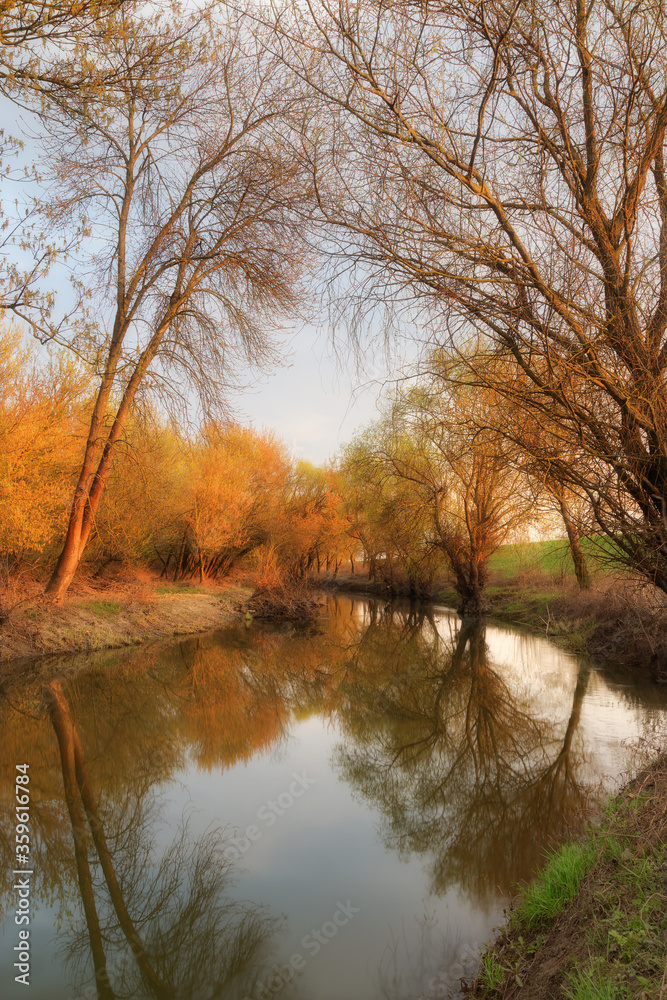 Golden evening on the banks of gently rolling river Golden evening on the banks of gently rolling river