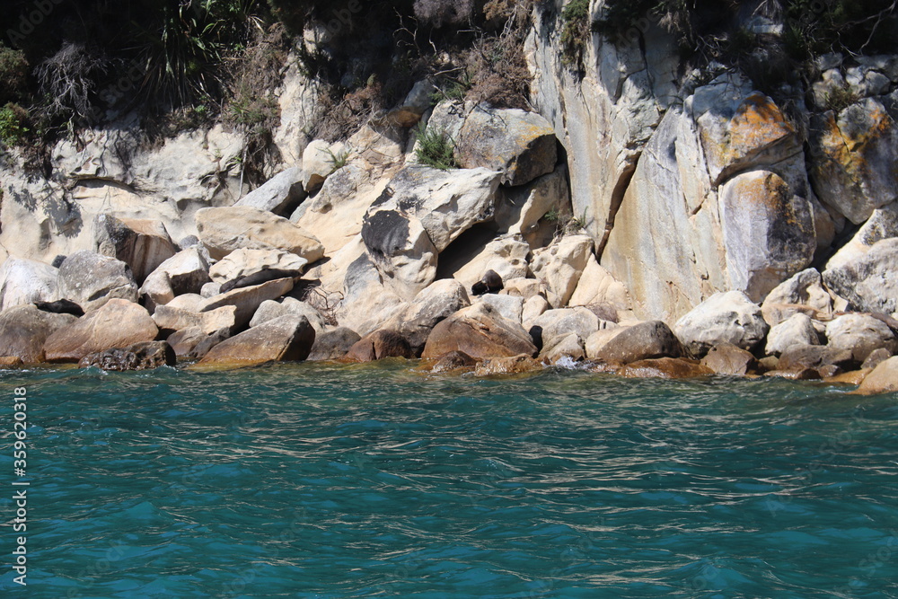 Otaries du parc Abel Tasman, Nouvelle Zélande Otaries du parc Abel Tasman, Nouvelle Zélande