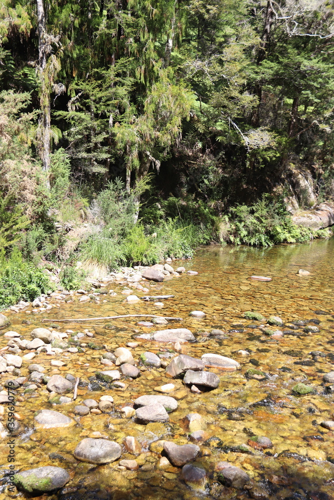 Rivière du parc Abel Tasman, Nouvelle Zélande Rivière du parc Abel Tasman, Nouvelle Zélande