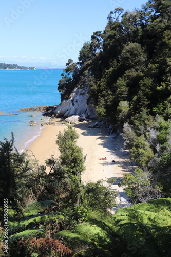 Plage paradisiaque du parc Abel Tasman  Nouvelle Z  lande