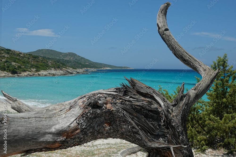 La plage de Saleccia en Corse