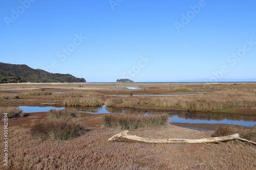 Marais du parc Abel Tasman, Nouvelle Zélande photo