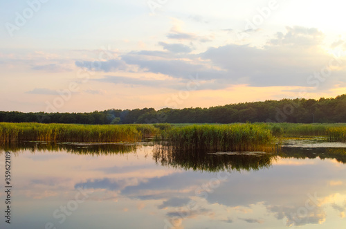 Beautiful sunset reflected in lake. calm and tranquil zen-like sunset in forest with beautiful colours in pink and red with reflections on water. Selective focus. Copy space. Place for text. 