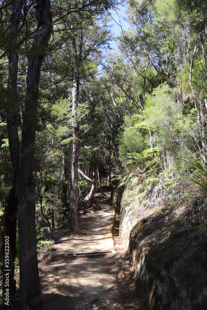 Sentier de randonnée du parc Abel Tasman, Nouvelle Zélande