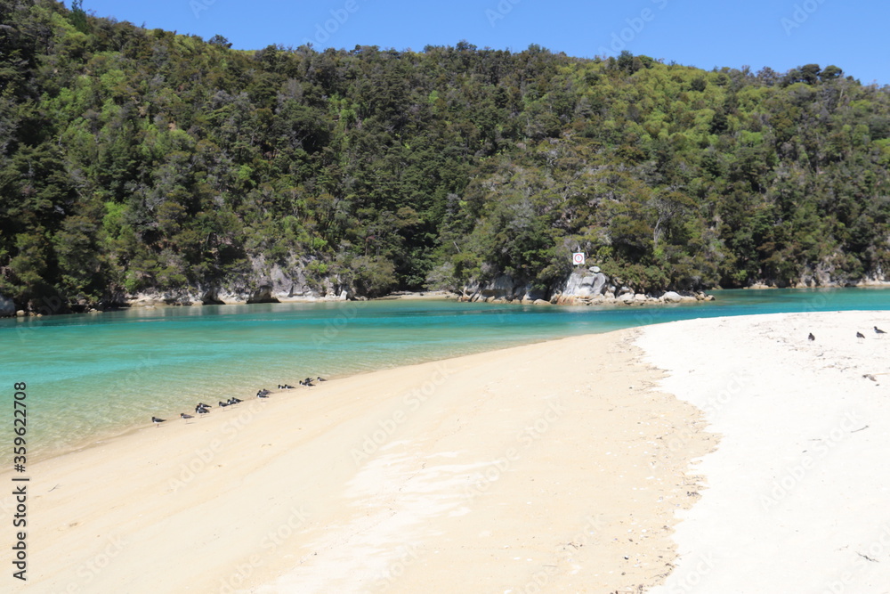Plage paradisiaque du parc Abel Tasman, Nouvelle Zélande Plage paradisiaque du parc Abel Tasman, Nouvelle Zélande