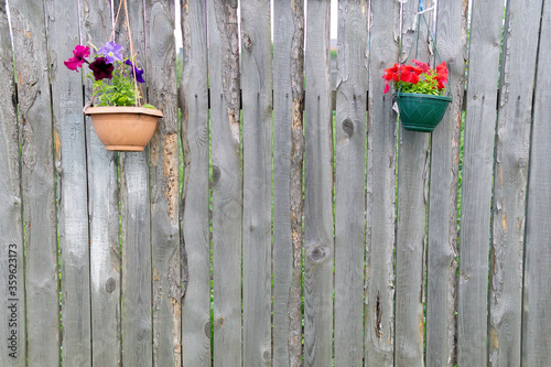 wooden fence with decorative plants place for text