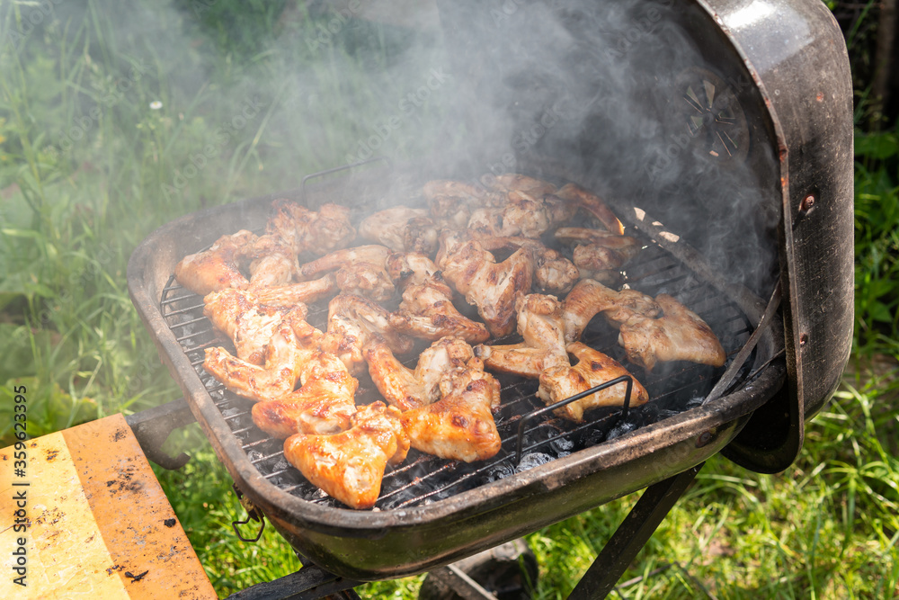 A lot of tasty, delicious, savoury meet (chicken wings) with pleasant odor and meat haze on the grill in the village