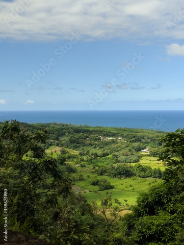 View of the sea from the side of a hill