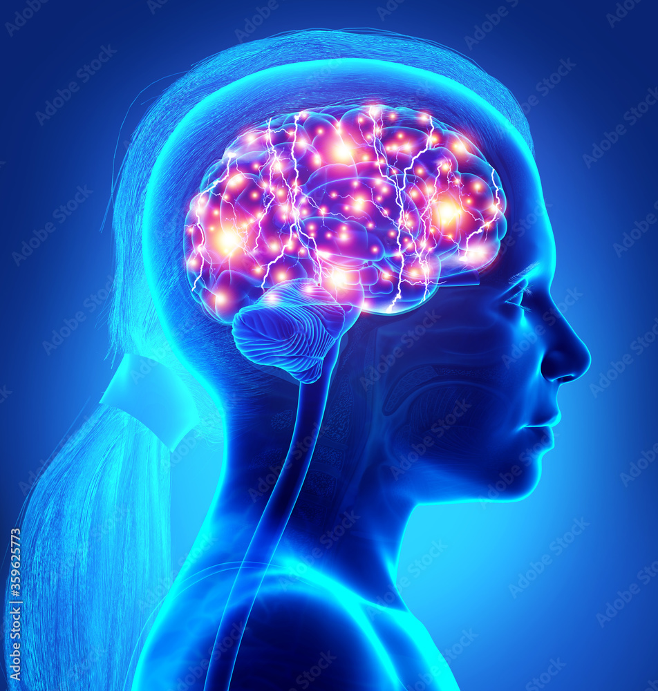 3d rendered, medically accurate illustration of a young girl active brain 3d rendered, medically accurate illustration of a young girl active brain