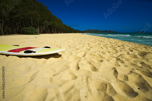 surfing in hawaii and the dream beach
