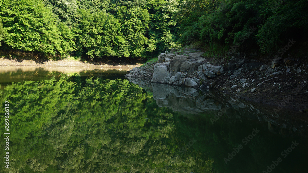 Lake in the forest, reflection in the water, beautiful scenery