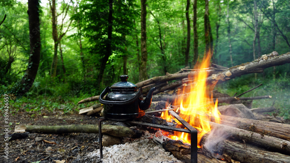Steep tea on campfire in forest, Camping in nature Steep tea on campfire in forest, Camping in nature