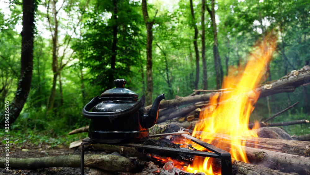 Steep tea on campfire in forest, Camping in nature Steep tea on campfire in forest, Camping in nature