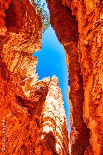 Bryce Canyon National Park during a Sunny Day, View between Cliffs, Utah