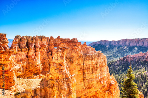 Black Birch Canyon in Bryce Canyon National Park during a Sunny Day, Utah