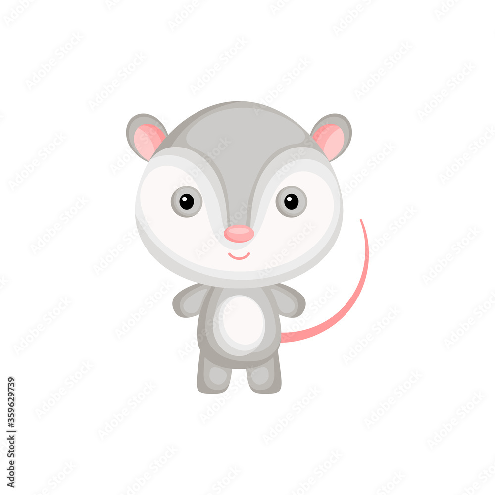 Cute funny baby opossum isolated on white background. Adorable animal character for design of album, scrapbook, card and invitation. Fun zoo. Flat cartoon colorful vector illustration. Cute funny baby opossum isolated on white background. Adorable animal character for design of album, scrapbook, card and invitation. Fun zoo. Flat cartoon colorful vector illustration.